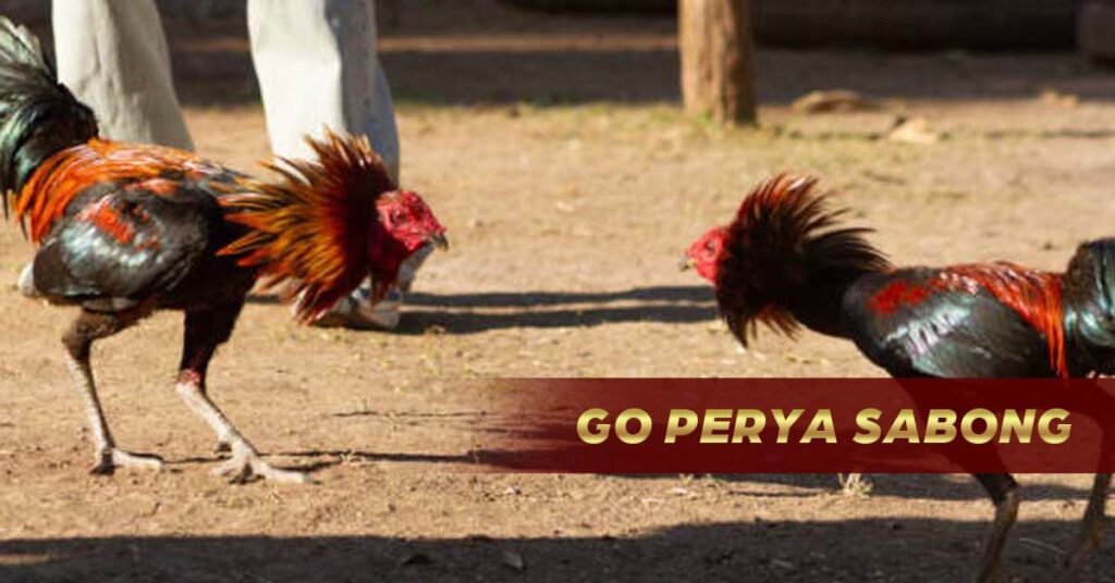 Go Perya | In-Depth Sabong Review