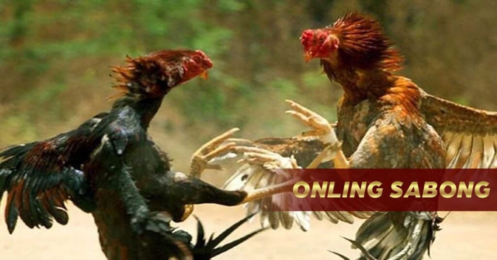 Online Sabong | Live and Virtual Talpakan at Sabong Worldwide