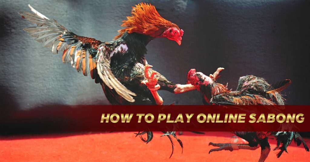 How to Play Online Sabong