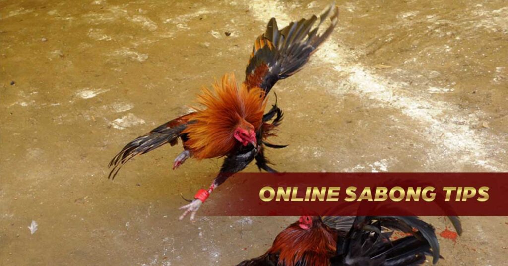 Online Sabong Tips